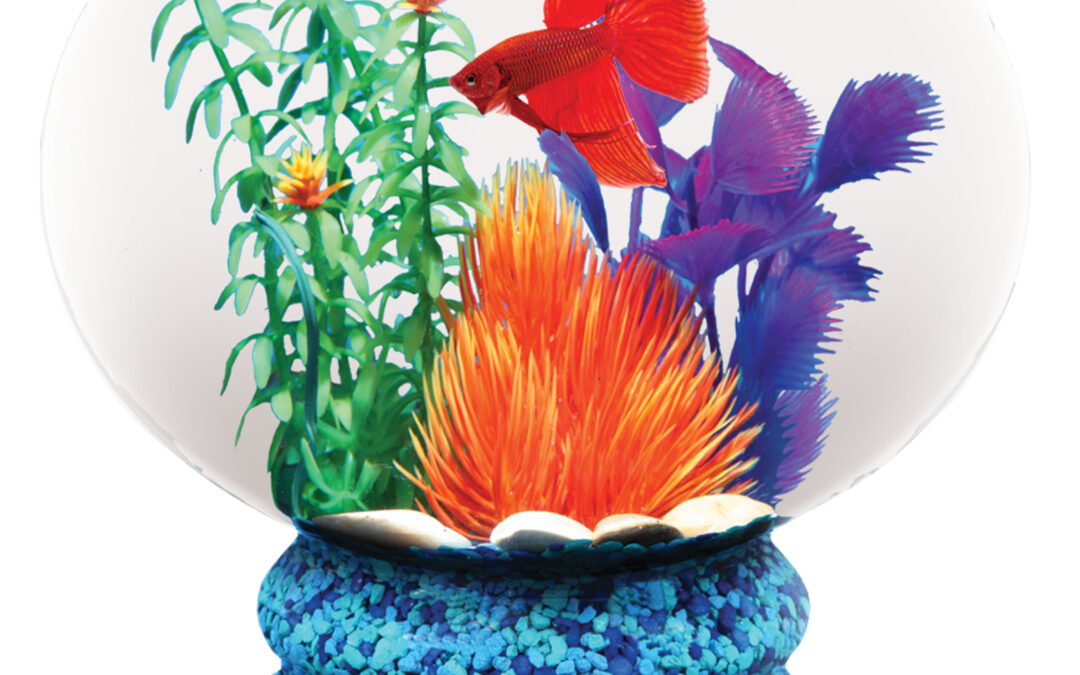 1.6 Gallon Pedestal Fish Bowl