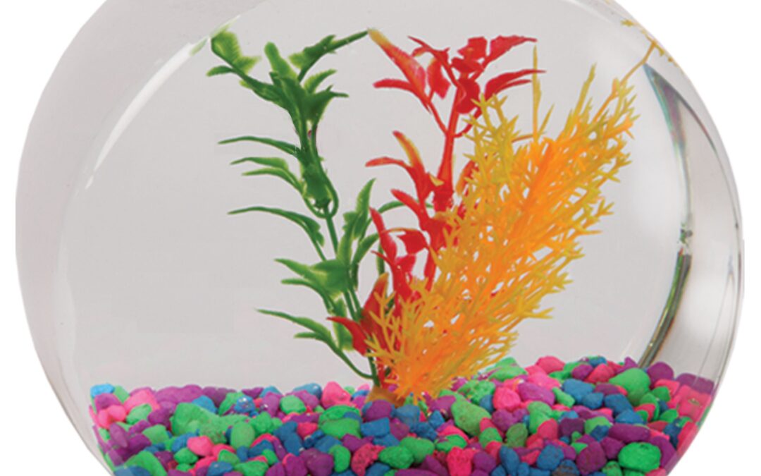1 Gallon Drum Fish Bowl PET