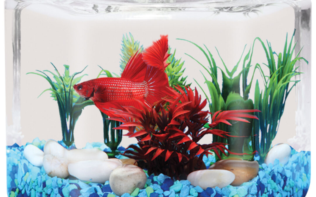 1-Gallon Hexagon Bowl