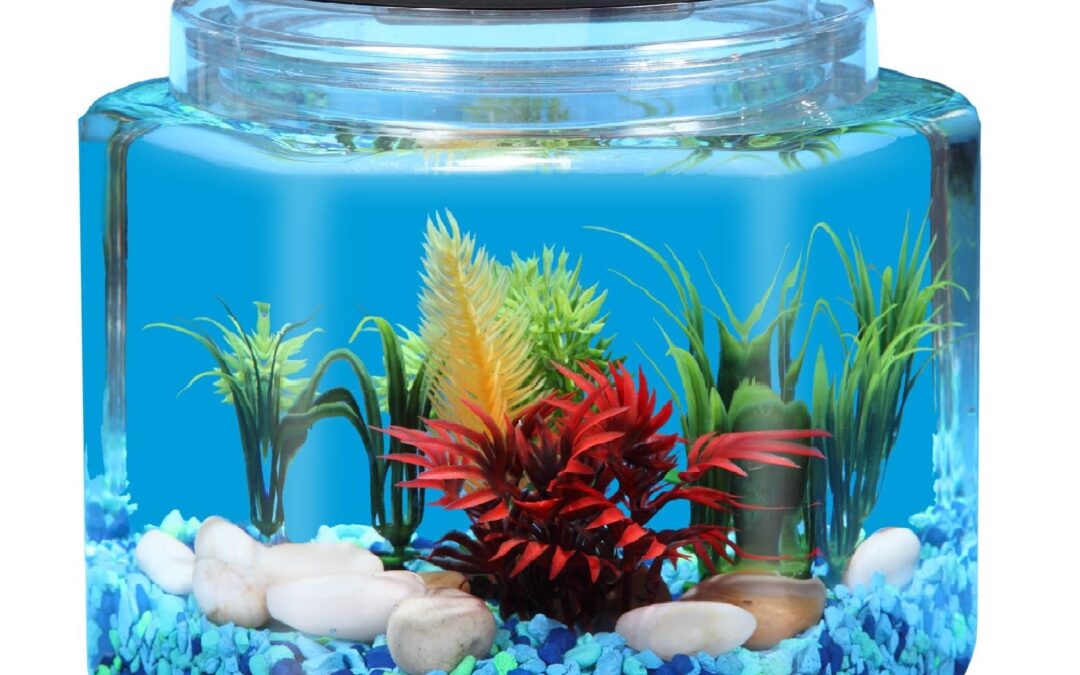 1 Gallon Hex Bowl with LED Lighting