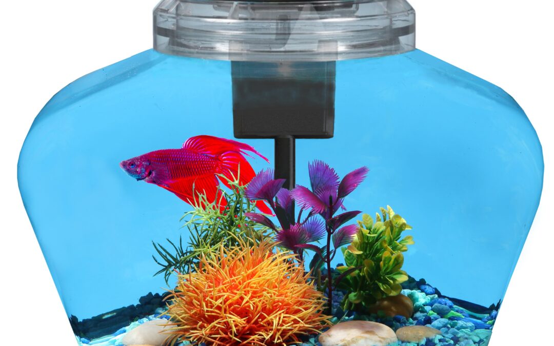 2 Gallon Deco Fish Tank with LED Lighting