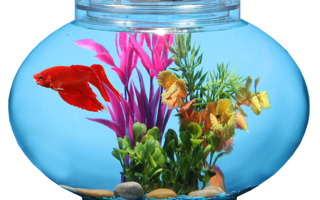 2 Gallon Short Pedestal Globe with LED Lighting