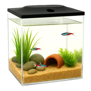 0.8 Gallon Cube Fish Tank with LED Lighting
